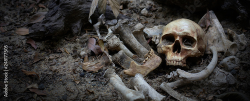 The skulls and pile bone in pit the graveyard; discover by dig in cemetery