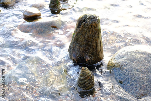 Foto stones in water