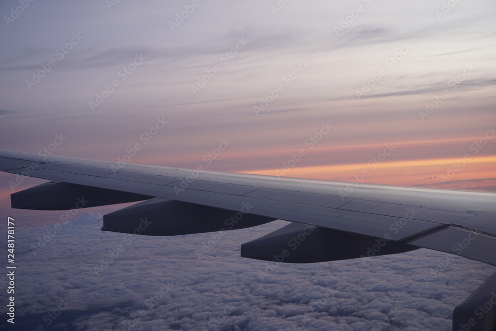 Obraz premium Fliegen