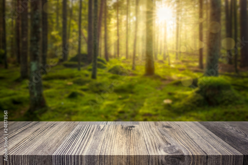 Empty table top for product display montage. Green sunny forest blurred in the background.