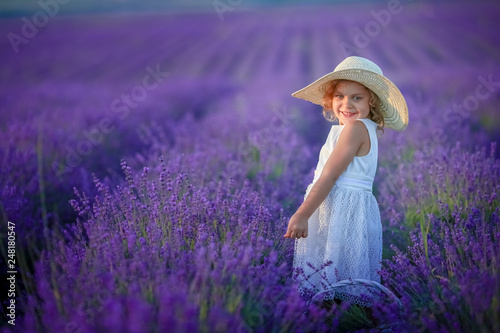 five years old Cute girl walking in lavender field dressed in white dress and hat.Lavender bouquet.