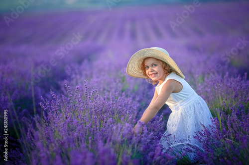 five years old Cute girl walking in lavender field dressed in white dress and hat.Lavender bouquet.