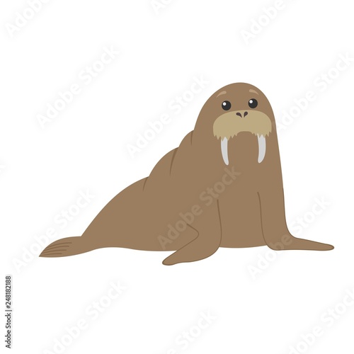   ute cartoon walrus. Vector character. Isolated animal illustration