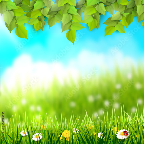 Spring background