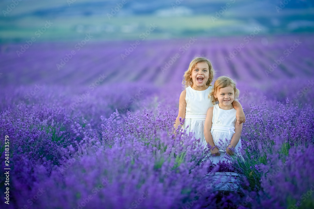 Two cute little sisters in a lavender field Two cute little sisters in a lavender field