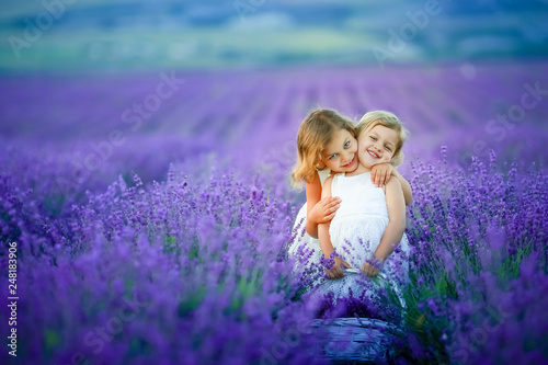 Two cute little sisters in a lavender field