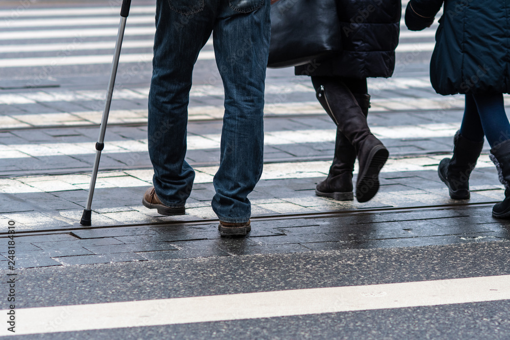 View of pedestrians legs crossing the white zebra crossing line - Image View of pedestrians legs crossing the white zebra crossing line - Image