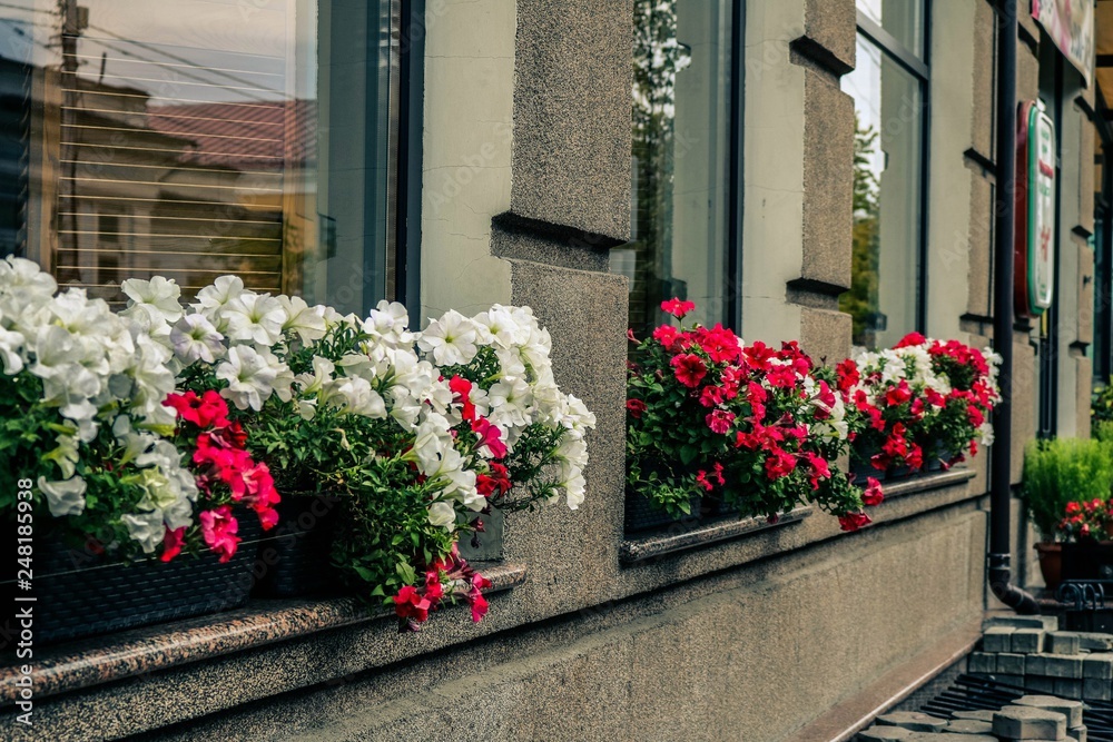 Naklejka premium Środowisko miejskie, Krasnojarsk