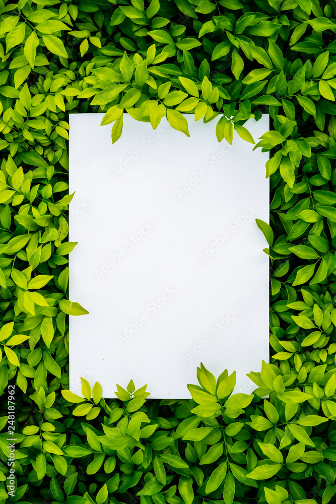Paper Card Mockup on a Green Leaves.Creative layout made of flowers and leaves with paper card note. Flat lay. Nature concept - obrazy, fototapety, plakaty 