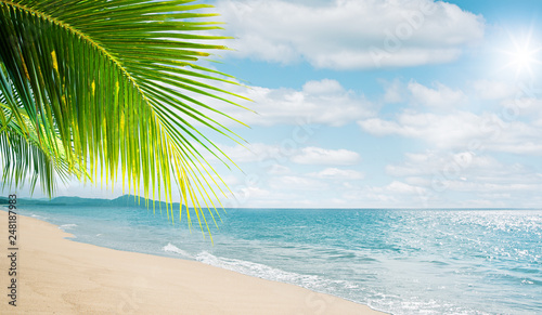 View of nice tropical beach with some palms © Dmitry Ersler