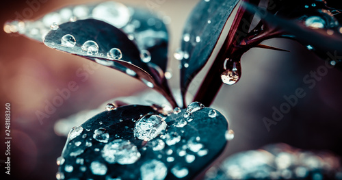 Water Drop © Julien