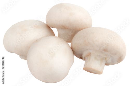  champignon mushrooms isolated on white background, with clipping path
