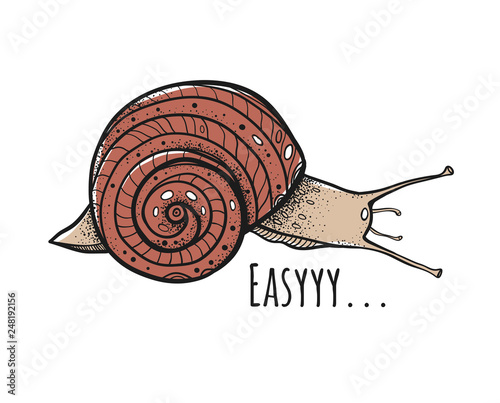 The snail with the inscription "Easyyy..." Vector snails with shell isolated from the background. Graphic illustration. Can be used as y-shirt print.
