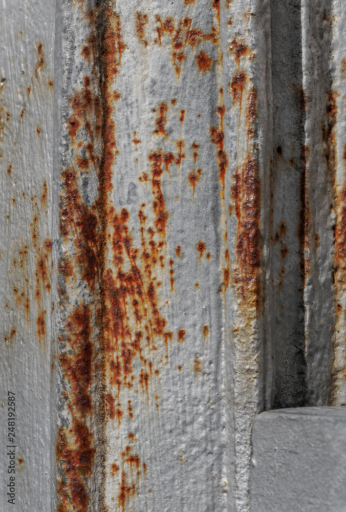 rost rost