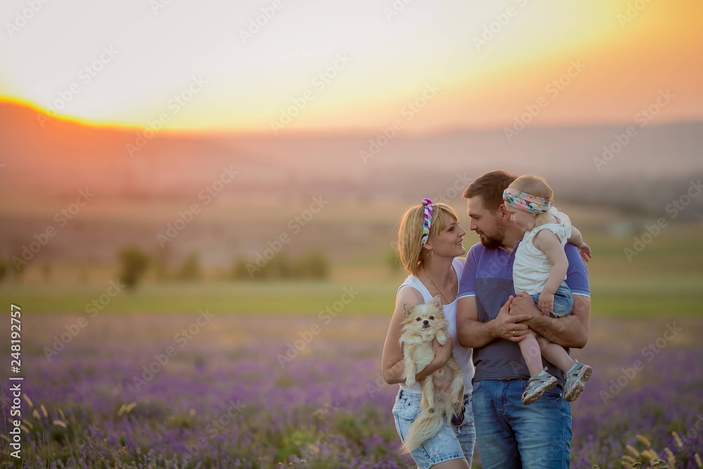 Little girls with dog and falily playing in lavender field