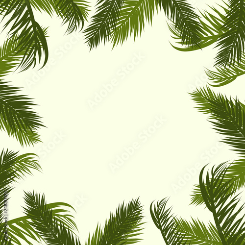 Summer tropical background with exotic palm leaves. Summer. Vector illustration.