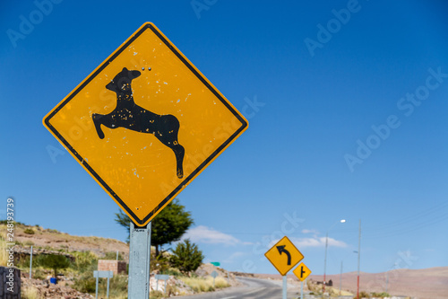 Ein Warnschild, dass auf Vicunias/Alpakas im Andenhochland von Chile hinweist. photo