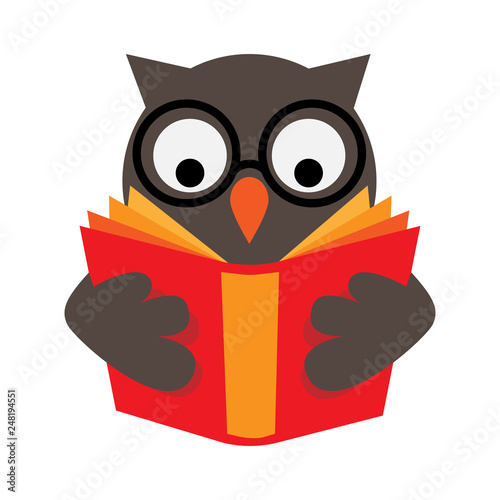 owl reading red book