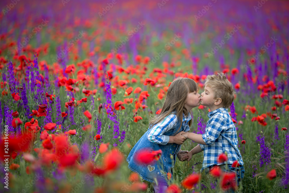 Little curly blond boy and girl play in poppy flower field. Child picking red poppies. Toddler kid in summer meadow. Family vacation in the country. Children pick flowers, hug and kiss. Siblings love. Little curly blond boy and girl play in poppy flower field. Child picking red poppies. Toddler kid in summer meadow. Family vacation in the country. Children pick flowers, hug and kiss. Siblings love.