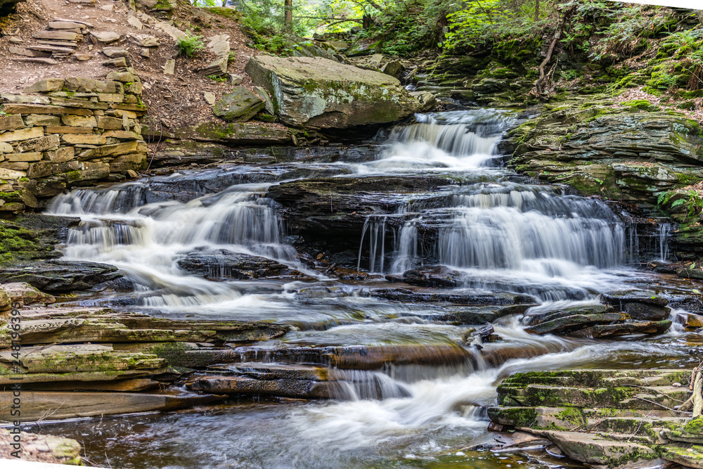 Fototapeta premium Seneca Waterfall in Ricketts Glen State Park of Pennsylvania