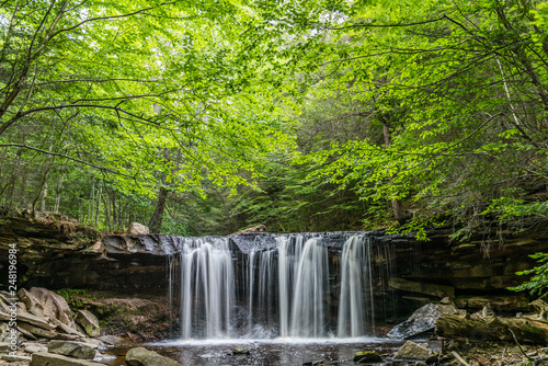Forest Over Oneida Waterfall in Ricketts Glen State Park of Pennsylvania