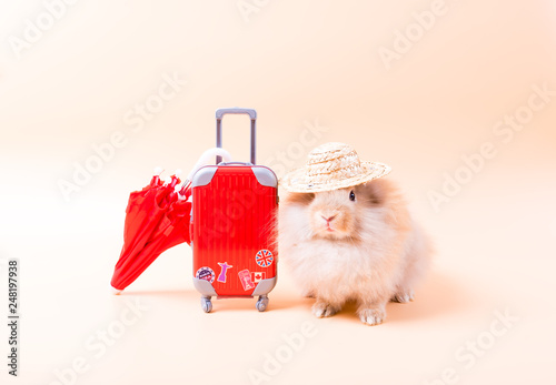 Cute rabbit wearing a hat, standing beside a suitcase, umbrella To travel on holiday. Cute Red bunny isolated for easter concept.