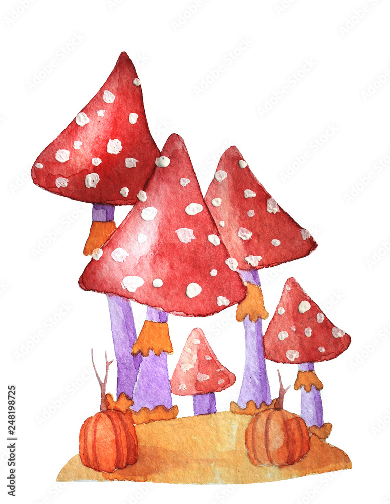 mushrooms watercolor illustration