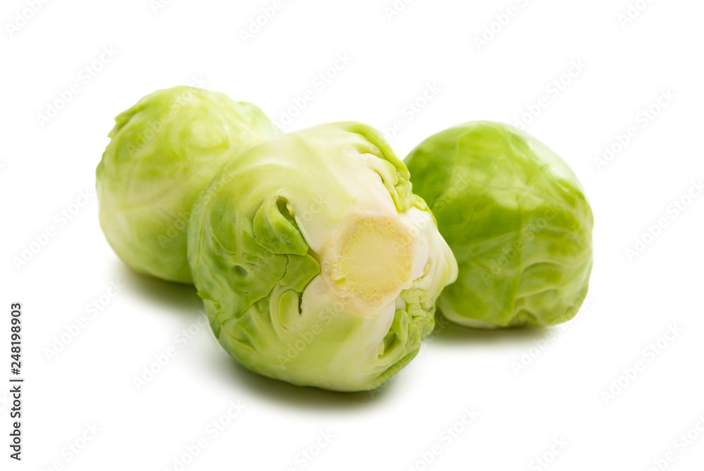 brussels sprouts isolated brussels sprouts isolated