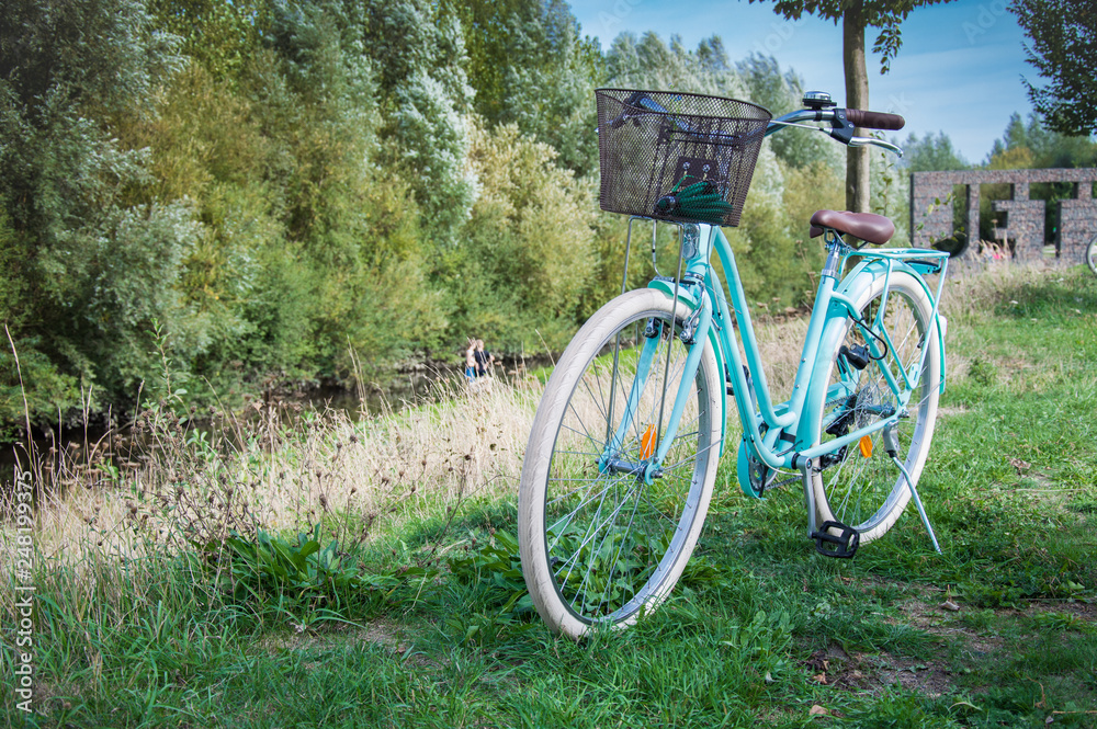 beautiful female Dutch bike stands on the grass without a hostess