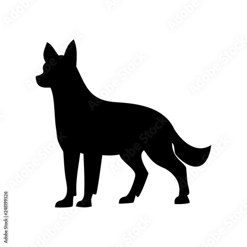 dog shepherd