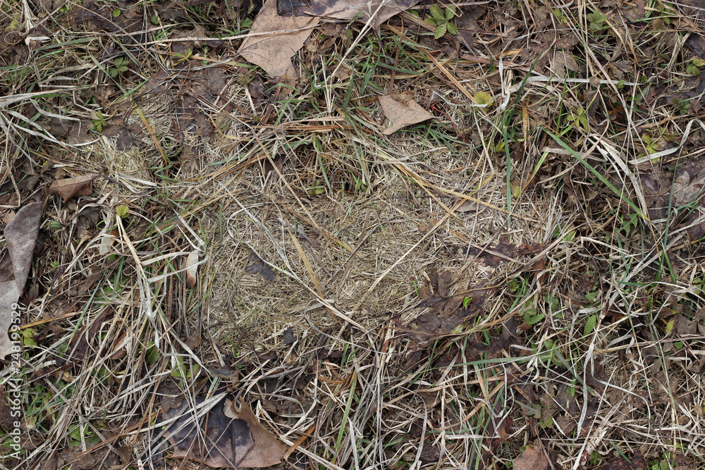 Grass ground earth soil wet leaves winter surface texture Grass ground earth soil wet leaves winter surface texture