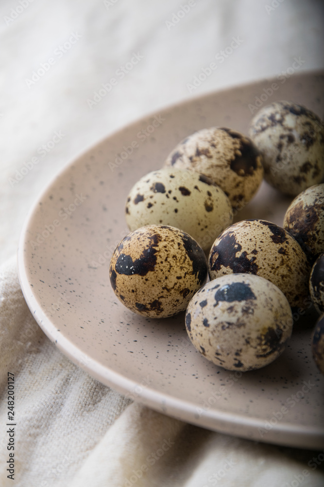 close-up quail eggs