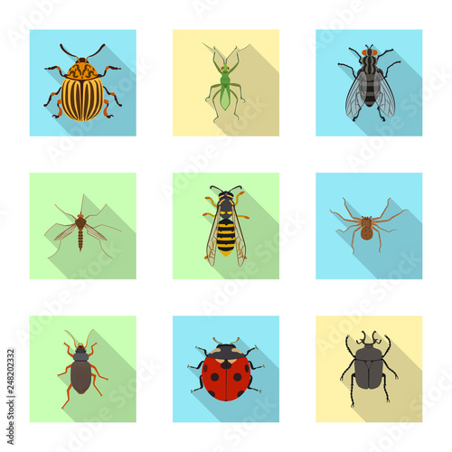 Vector design of insect and fly sign. Set of insect and element stock vector illustration.