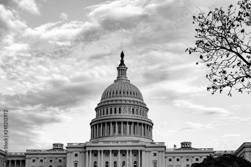 Φωτογραφία U.S. Capitol Building, Washington, DC USA