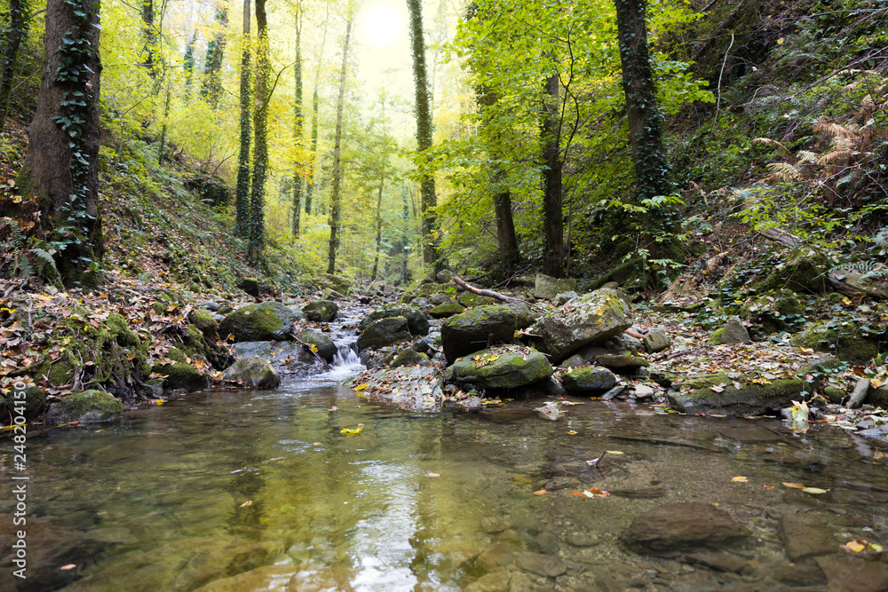 Obraz premium Stream in a mountain gorge in the autumn forest. Beautiful autumn landscape.