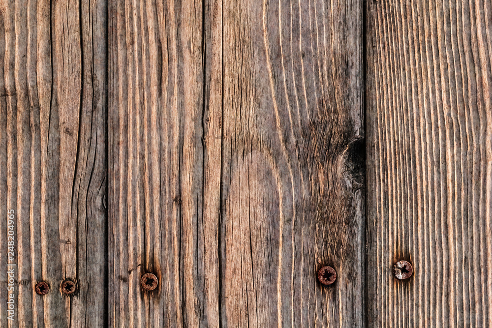Old Weathered Rotten Cracked Knotted Rough Pine Wood Floorboards Grunge Surface With Rusty Phillips Screws Embedded Detail Old Weathered Rotten Cracked Knotted Rough Pine Wood Floorboards Grunge Surface With Rusty Phillips Screws Embedded Detail