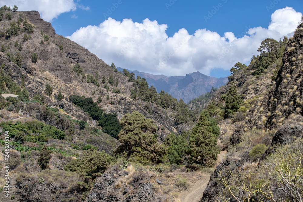 Looking along the valley ravine at Barranco de las Augustias, La Palma Island, Canary Islands, Spain