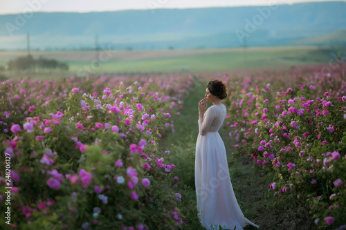 Long wedding dress, beautiful hairstyle and a field of flowers.