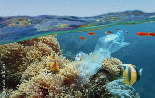 The world ocean pollution. Beautiful tropical coral reef with sea anemones, clownfish and colorful coral fish - polluted with plastic bag. The sea surface view. Environmental protection concept