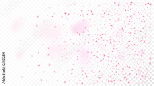 Nice Sakura Blossom Isolated Vector. Watercolor Flying 3d Petals Wedding Design. Japanese Funky Flowers Wallpaper. Valentine, Mother's Day Beautiful Nice Sakura Blossom Isolated on White