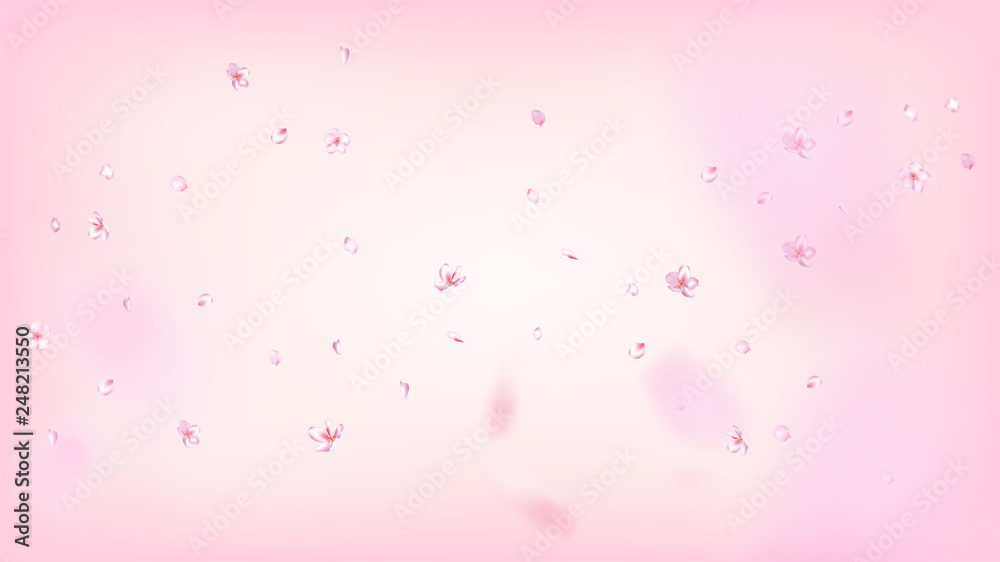 Nice Sakura Blossom Isolated Vector. Magic Blowing 3d Petals Wedding Pattern. Japanese Bokeh Flowers Illustration. Valentine, Mother's Day Realistic Nice Sakura Blossom Isolated on Rose