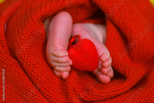 Red heart on baby legs. The legs of the newborn on a red background. A baby wrapped in a red blouse. Valentine s Day