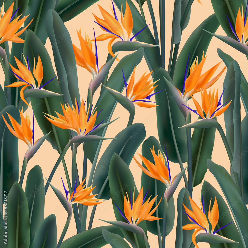 Strelitzia Wallpaper • Bold Flower Design • Milton & King USA