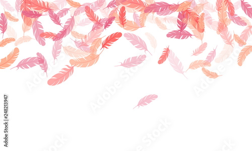 Flying feather elements airy vector design.