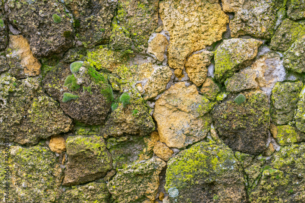 Stone wall with moss close up