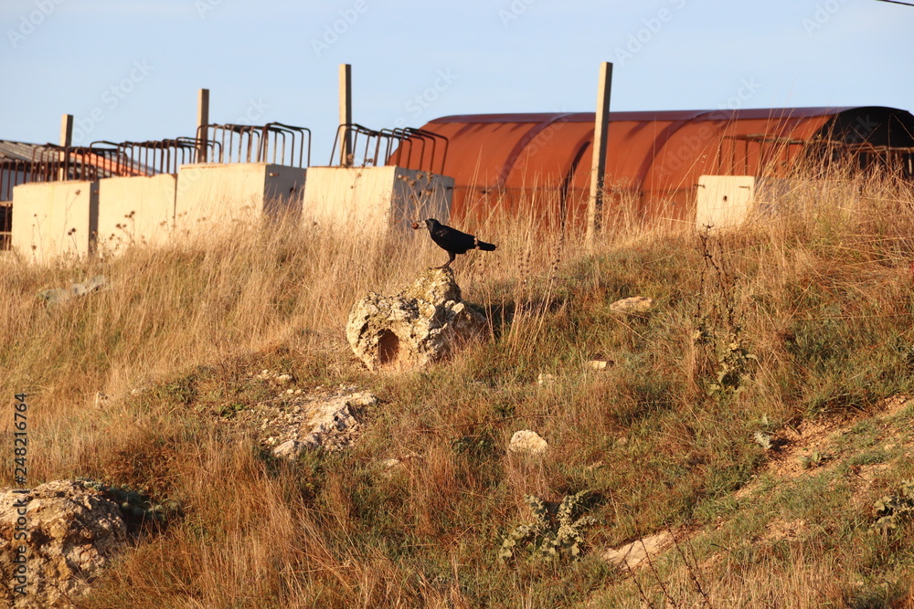 Obraz premium SEVASTOPOL .KRIMEA. RUSSIA!!!