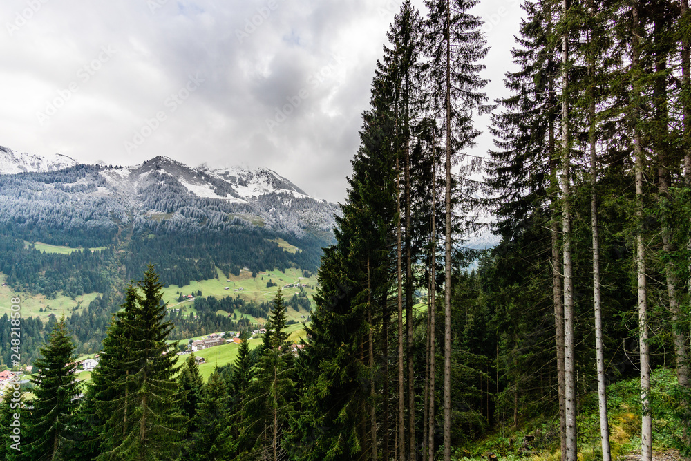 Curved foothills and the rocky Alps mountains covered by snow and green fir trees,