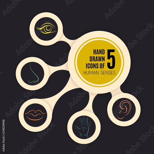 Hand drawn illustration of human senses made in line vector style. Template for businecc card and banner. Abstract infographic in the form of metabolic