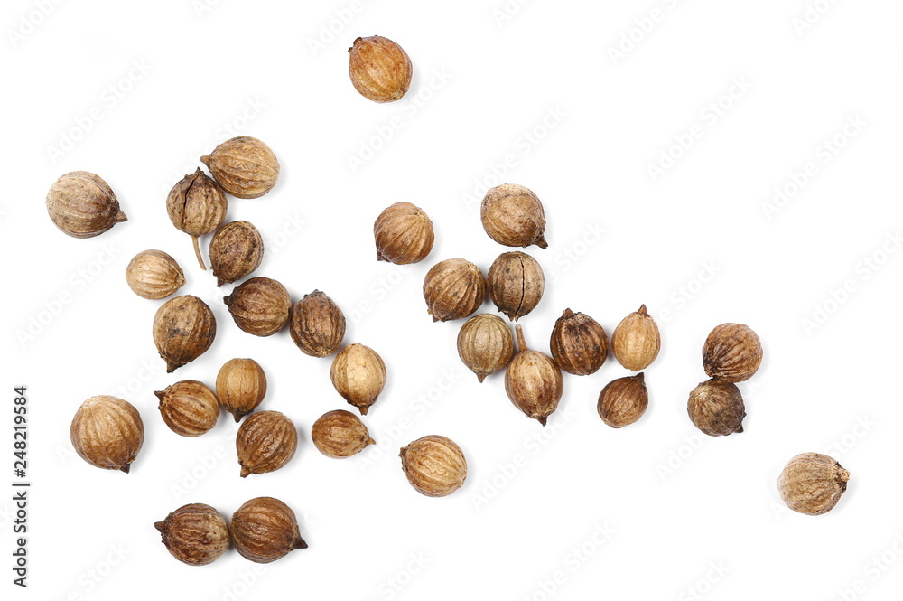 Coriander seeds macro isolated on white background, top view Coriander seeds macro isolated on white background, top view