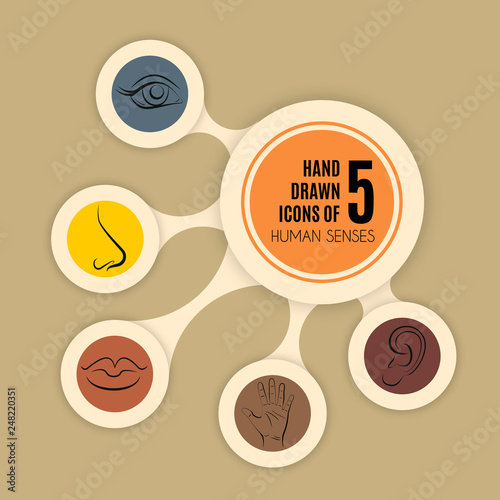 Hand drawn illustration of human senses made in line vector style. Template for businecc card and banner. Abstract infographic in the form of metabolic
